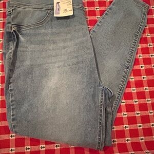 Terra & Sky Classic Blue High Rise Skinny Jegging